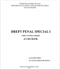 Drept Penal